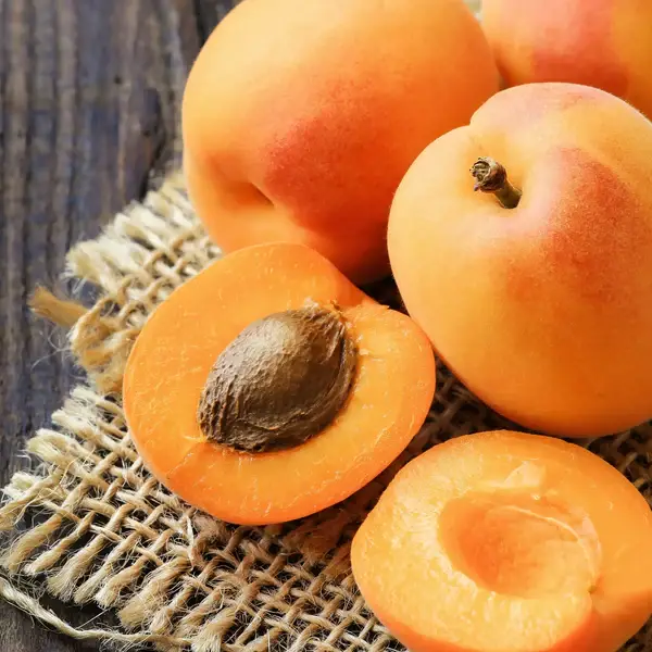 Fondant Parfumé Abricot