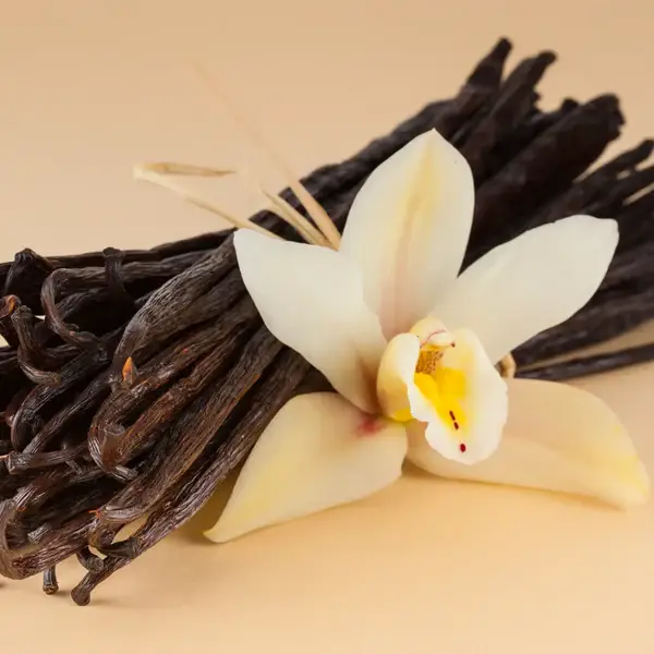 Fondant Parfumé Vanille