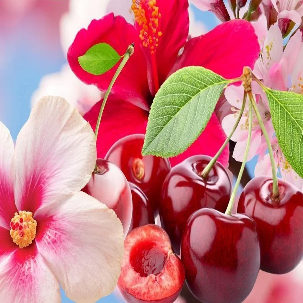 Fondant Parfumé Monoi Cerise