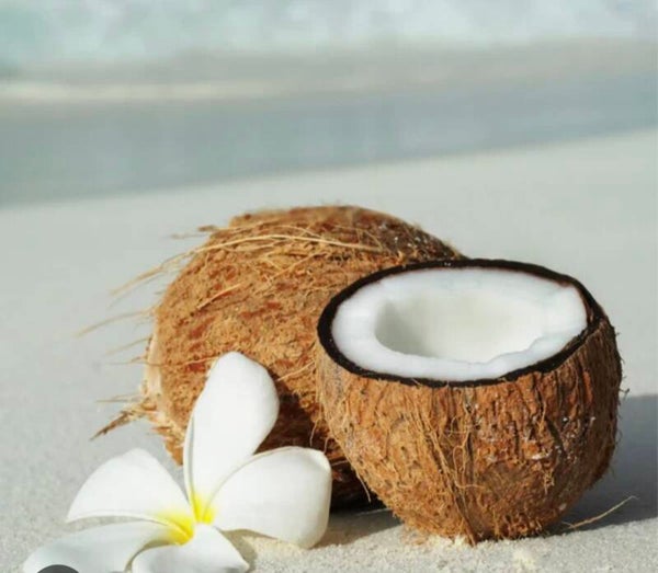 Fondant Parfumé Monoi coco vanille
