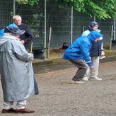 1000004227-standard.jpg