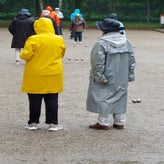 1000004232-standard.jpg