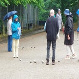 1000004242-standard.jpg