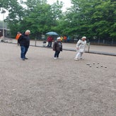 1000004261-standard.jpg