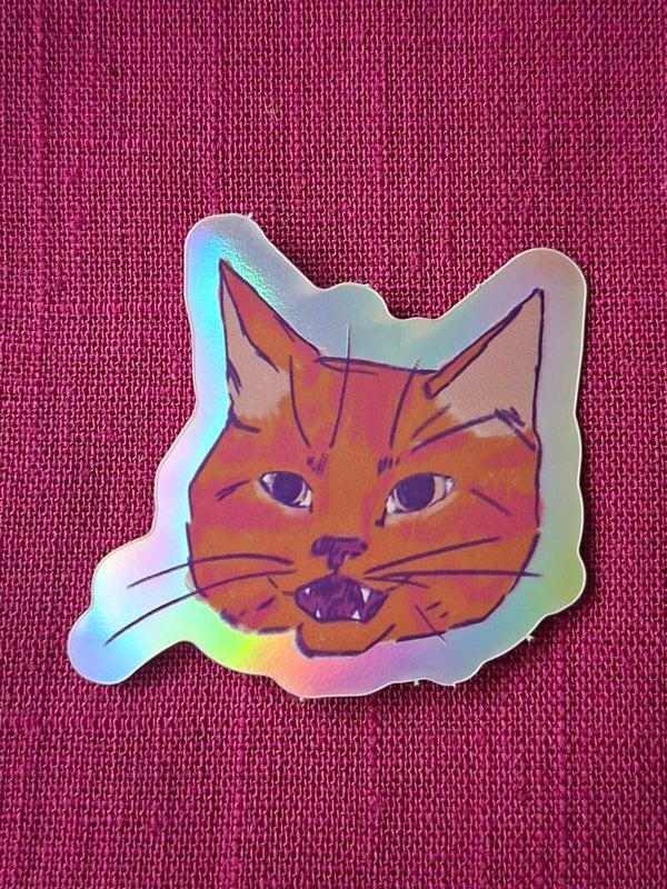 Sticker Oranje kat