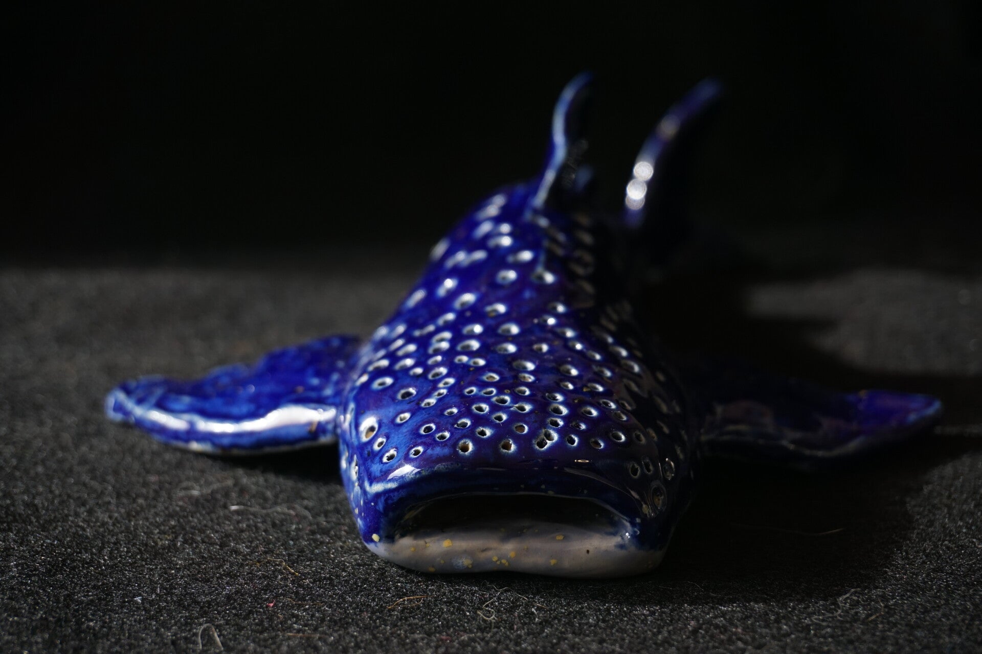 Whaleshark with light