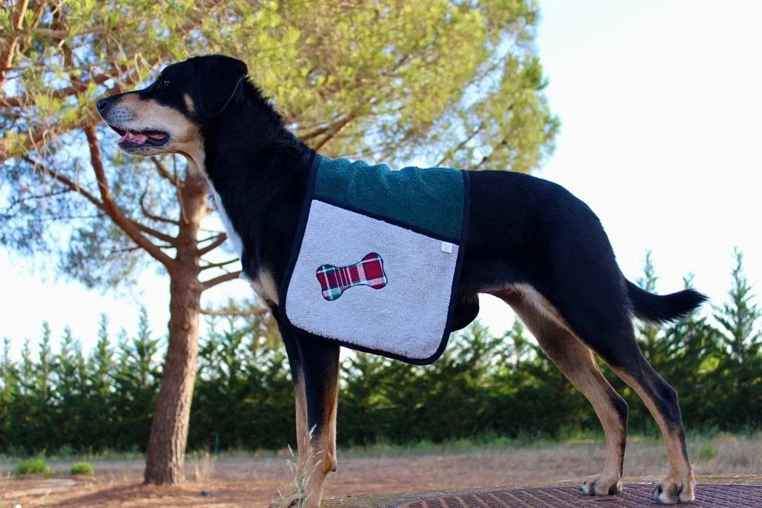 Hygiène - Sèche toutou