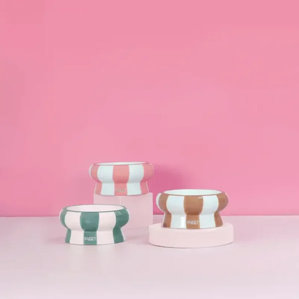 Acc. - Gamelle céramique CHAT