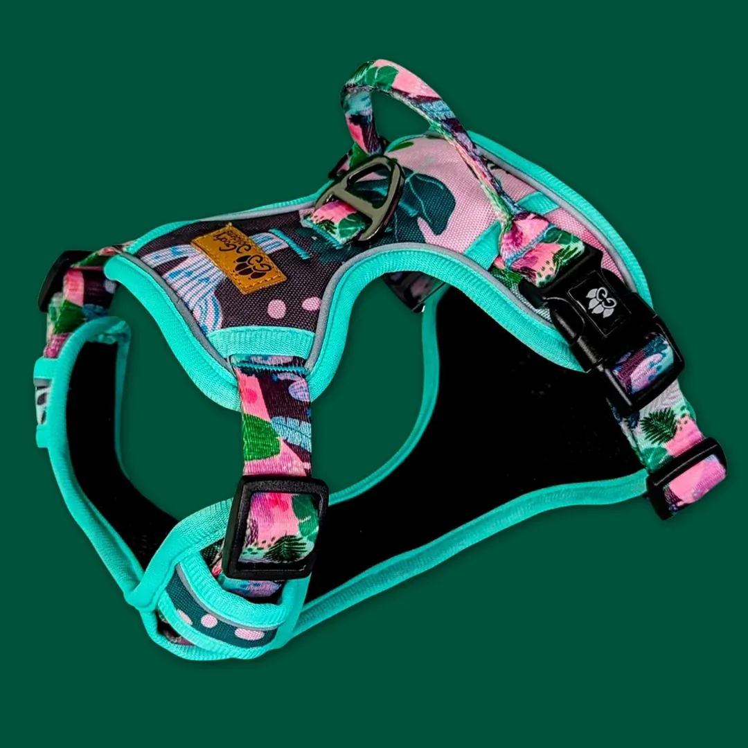 Acc. - Harnais sangle