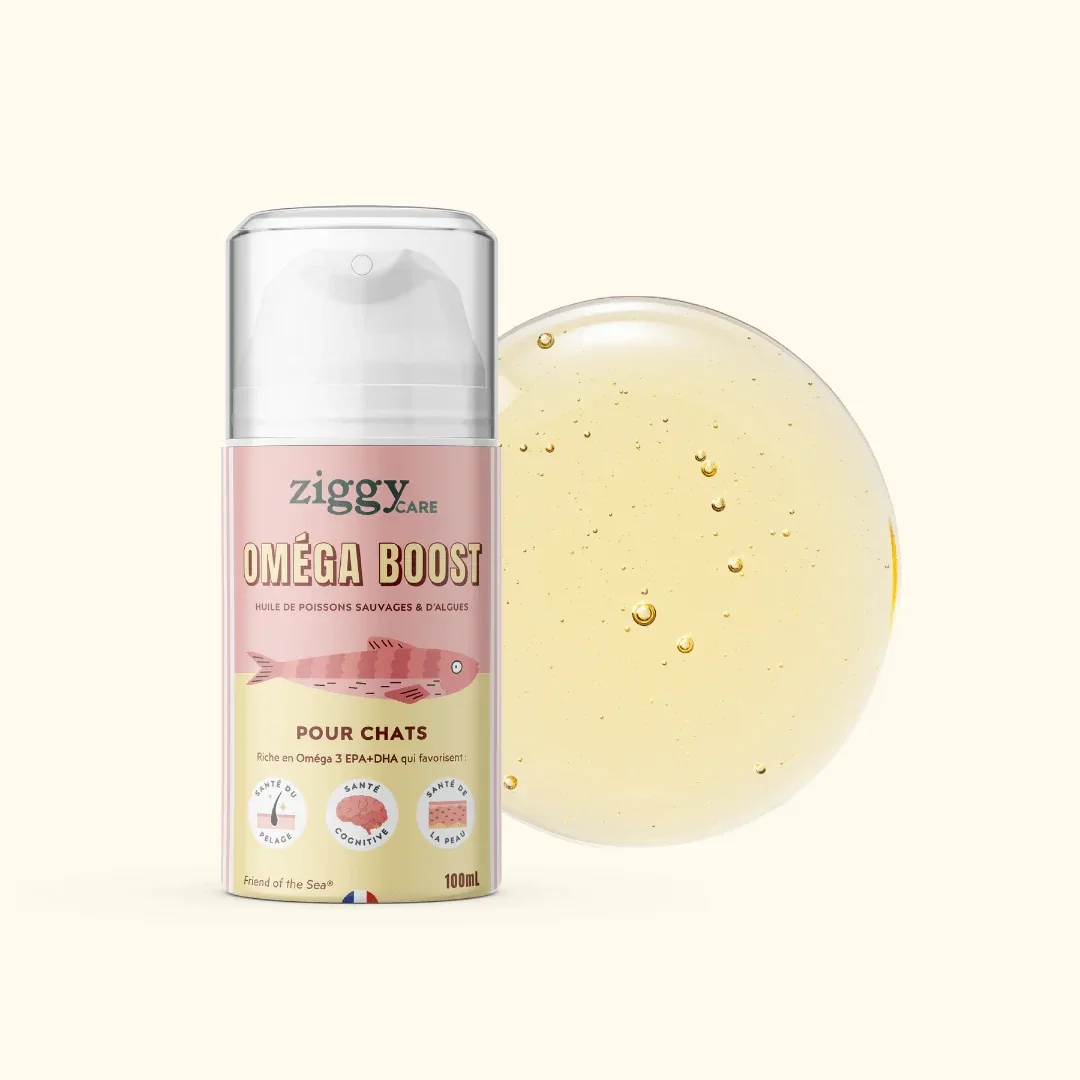 Complément - Huile poissons/algues 100 ml