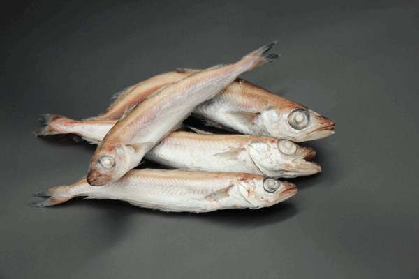 Poisson Merlan 2 kg