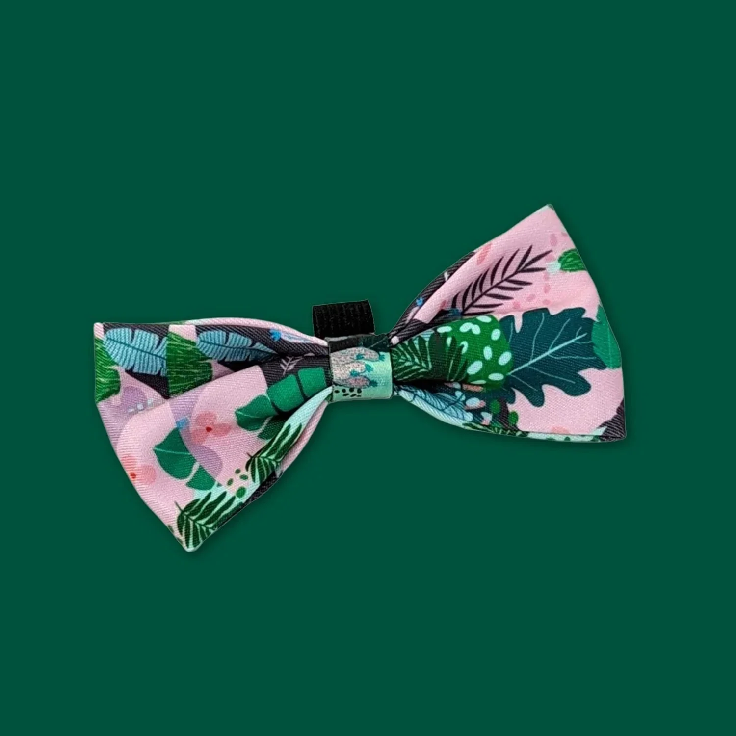 Acc. - Noeud papillon