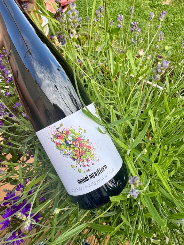 6x Sauvignon Blanc 2023 Daniel Mattern Rheinhessen 0,75l