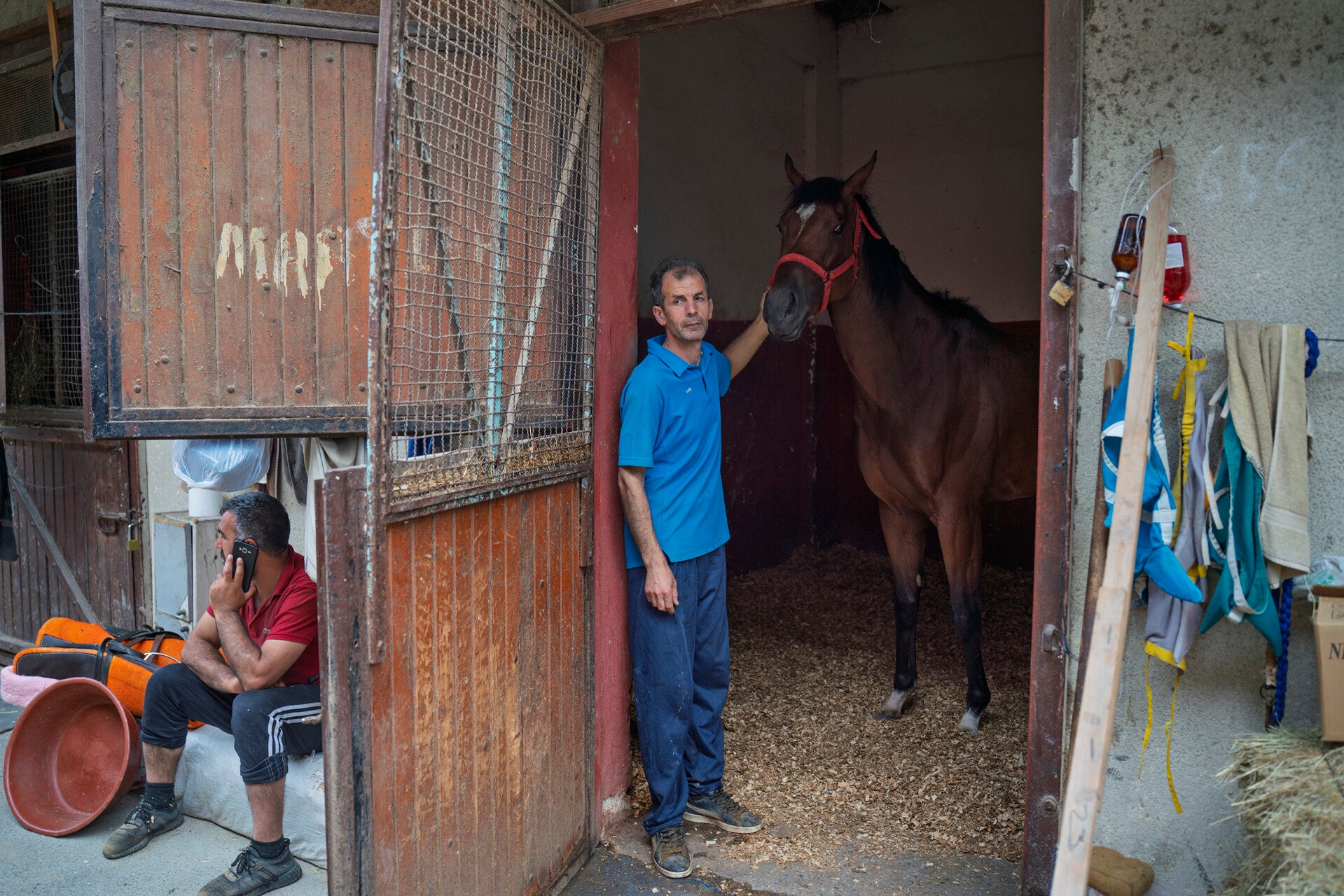 Article from Istanbul about Horse Racing and the faces unseen, horse training, racing, Humanity magazine, cbdp media,
