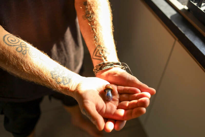 magic mushroom user holds the plant in his hands in this documentary photo by David Cross,