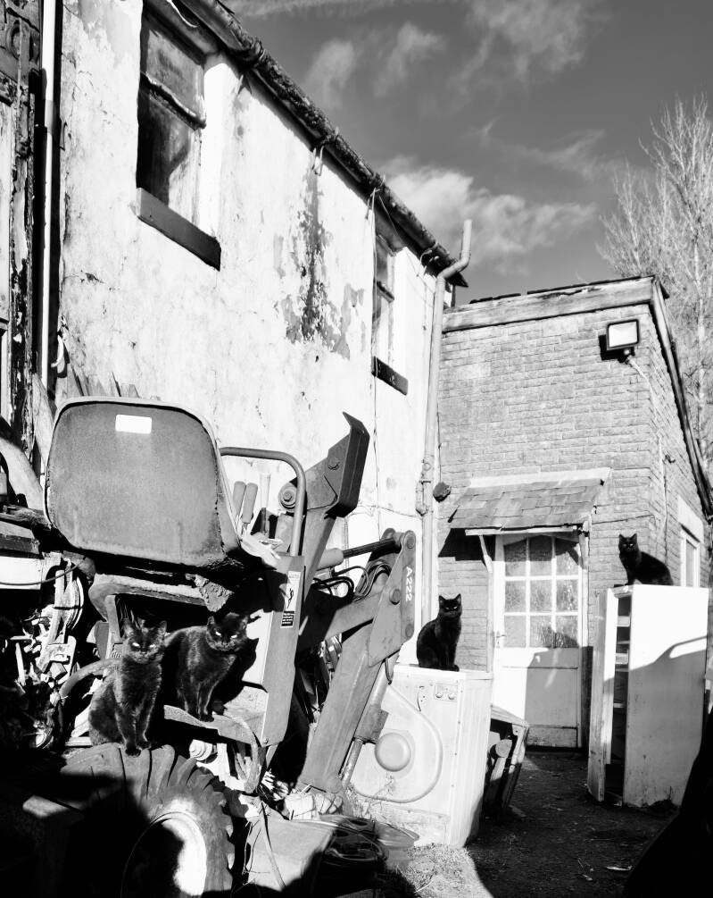answering questions around inheritance and belonging in post modern Britain,