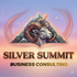 Silver Summit Business Consulting