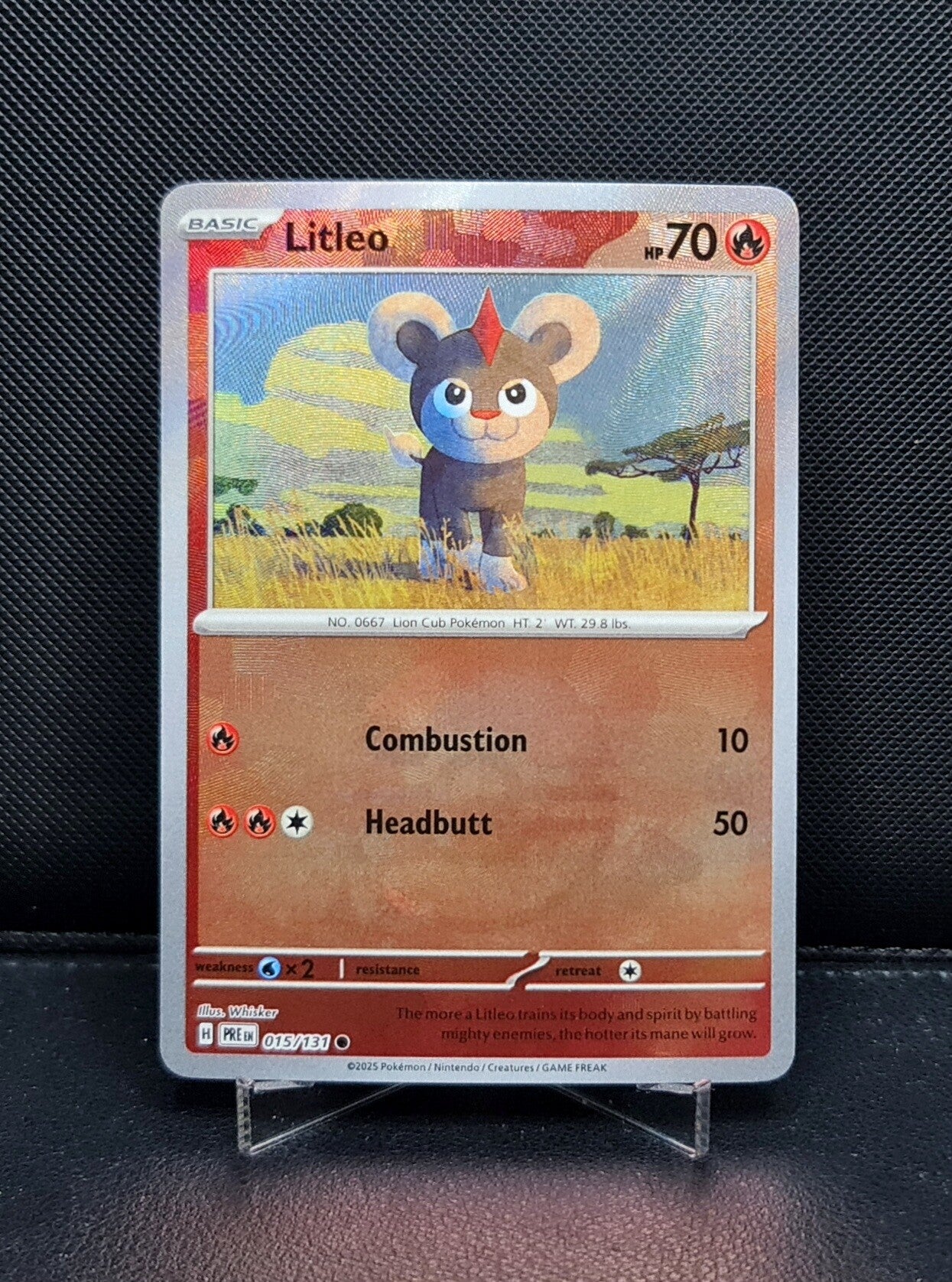 Litleo 015/131