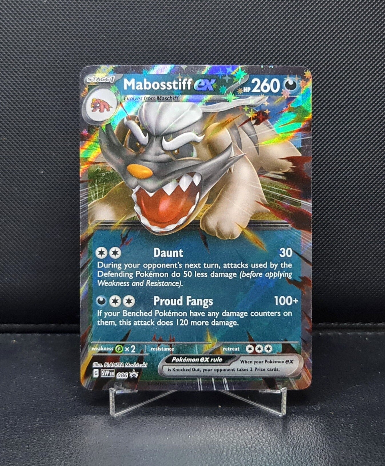 Mabosstiff EX SVP086