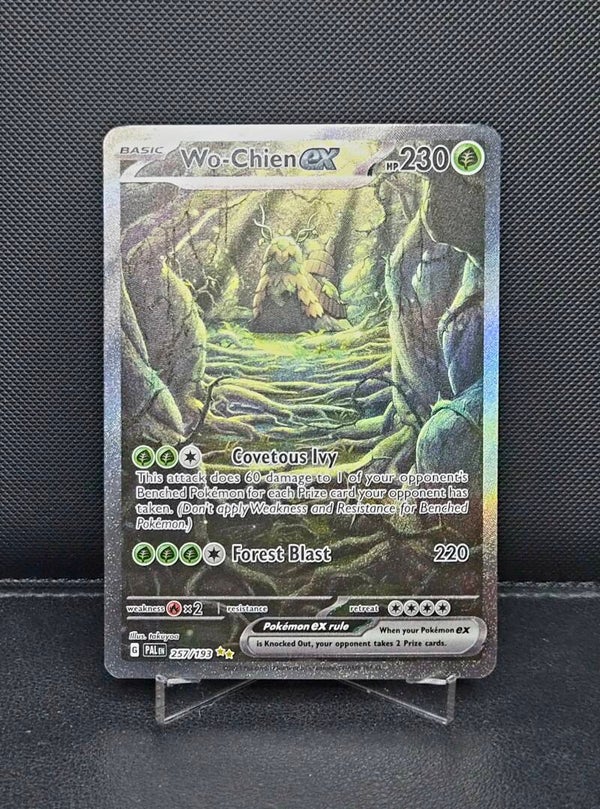 Wo-Chien EX 257/193