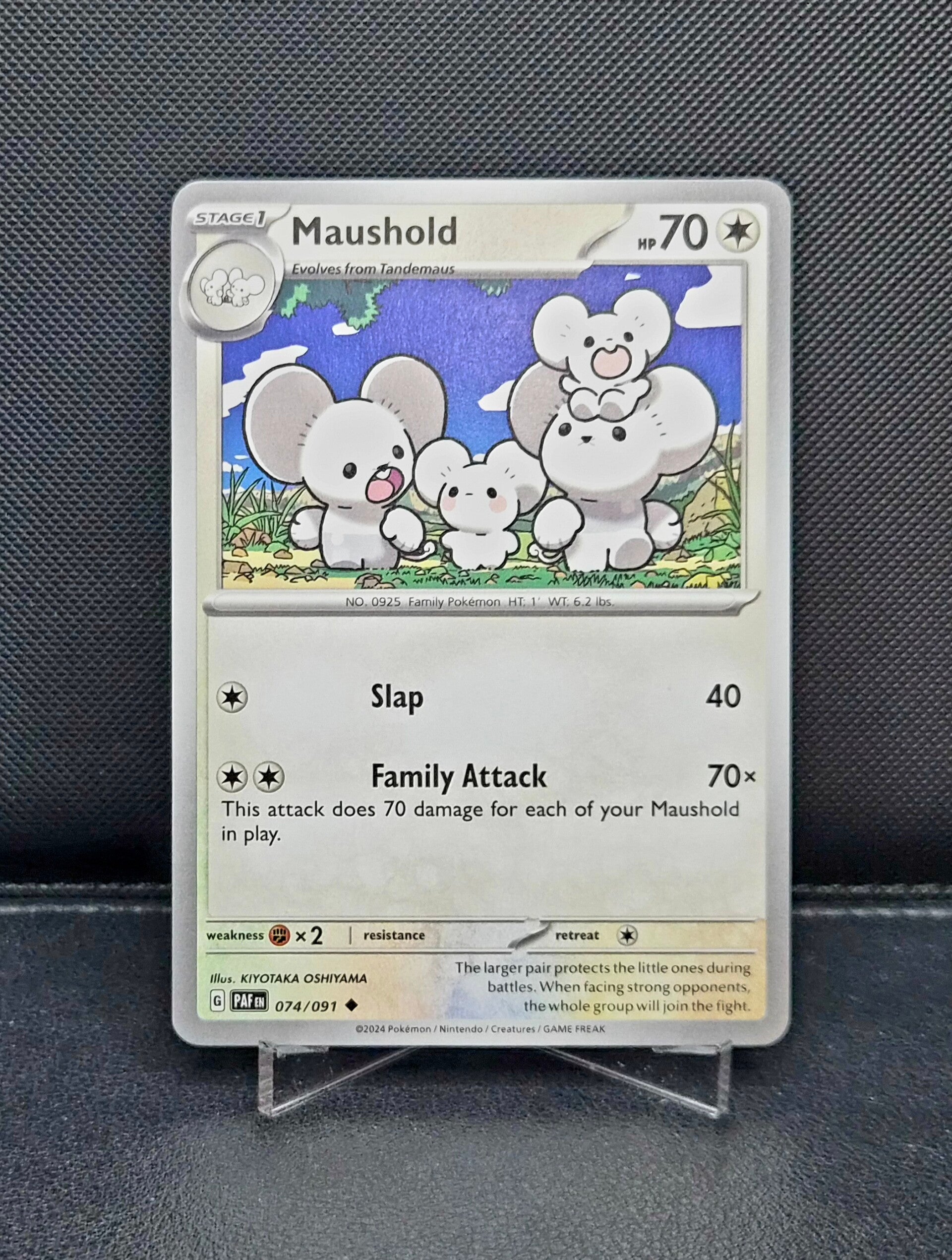 Maushold 074/091