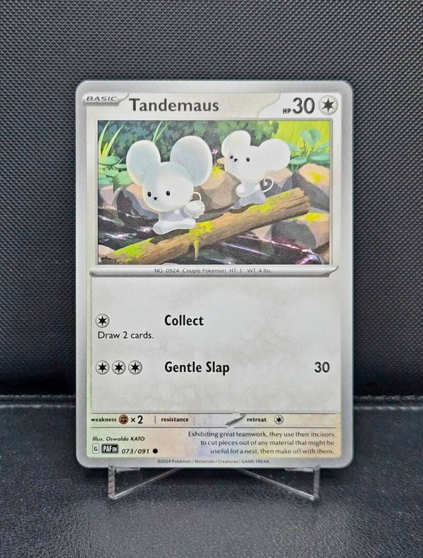Tandemaus 073/091