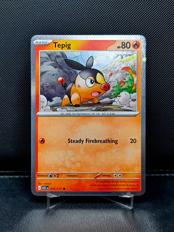 Tepig 029/217