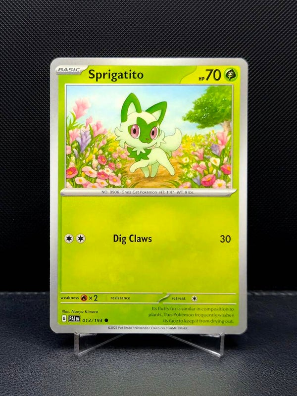 Sprigatito 013/193