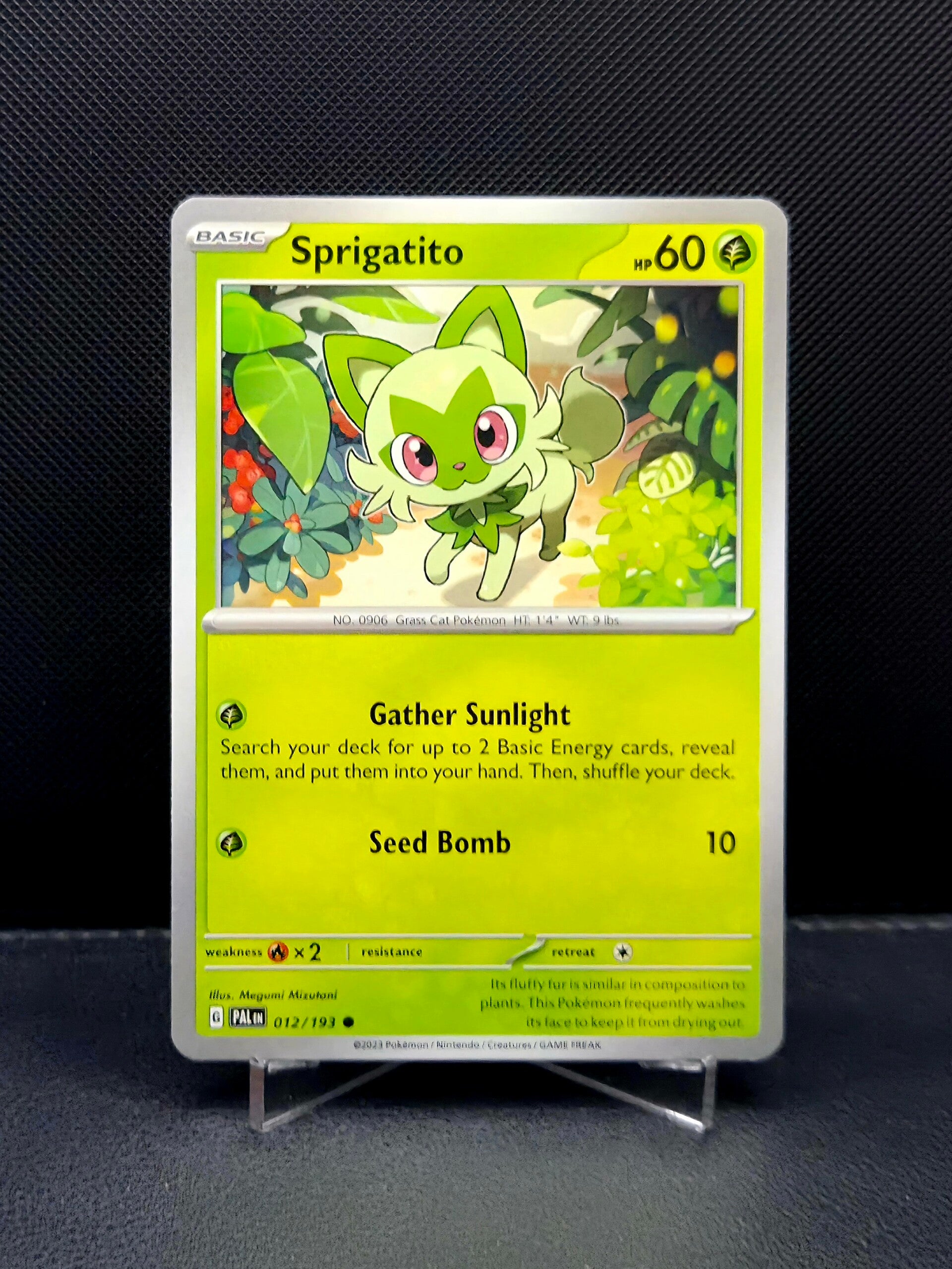 Sprigatito 012/193