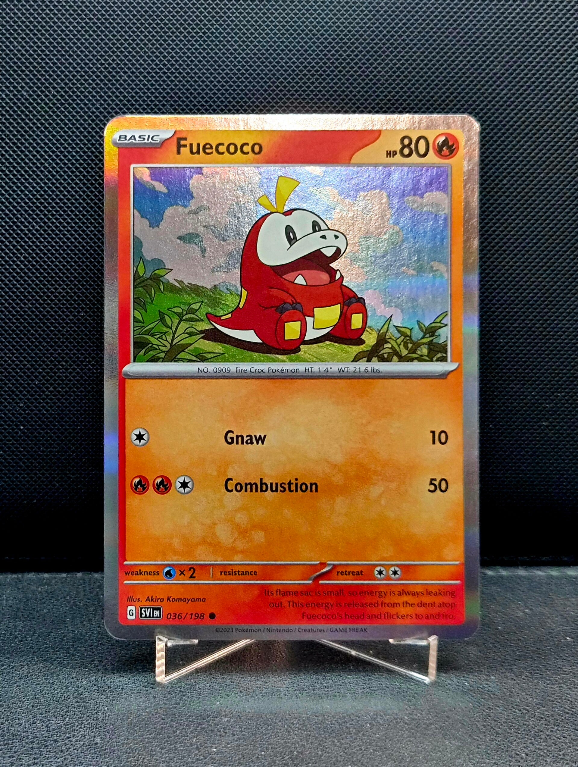 Fuecoco 036/198