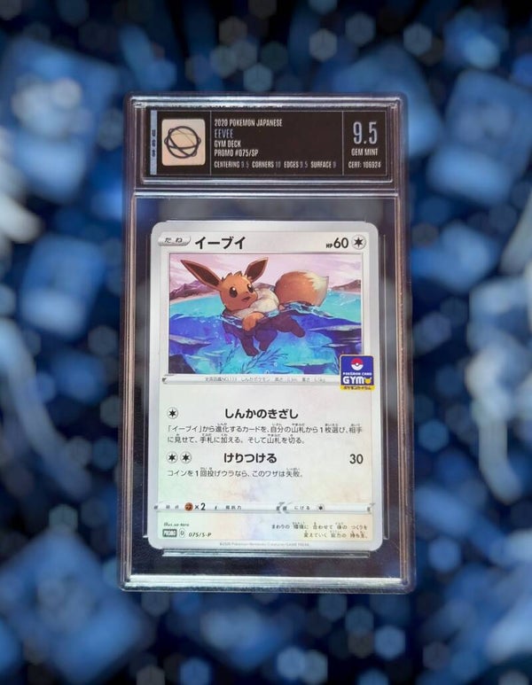 GRADE 9.5 Eevee 075/S-P Sword&Shield Promo kaart 2020