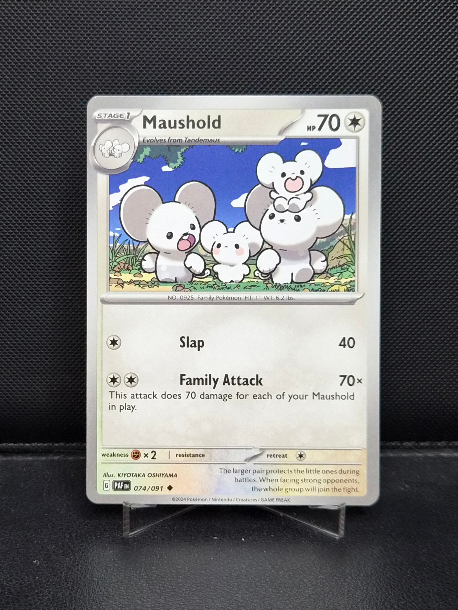 Maushold 074/091