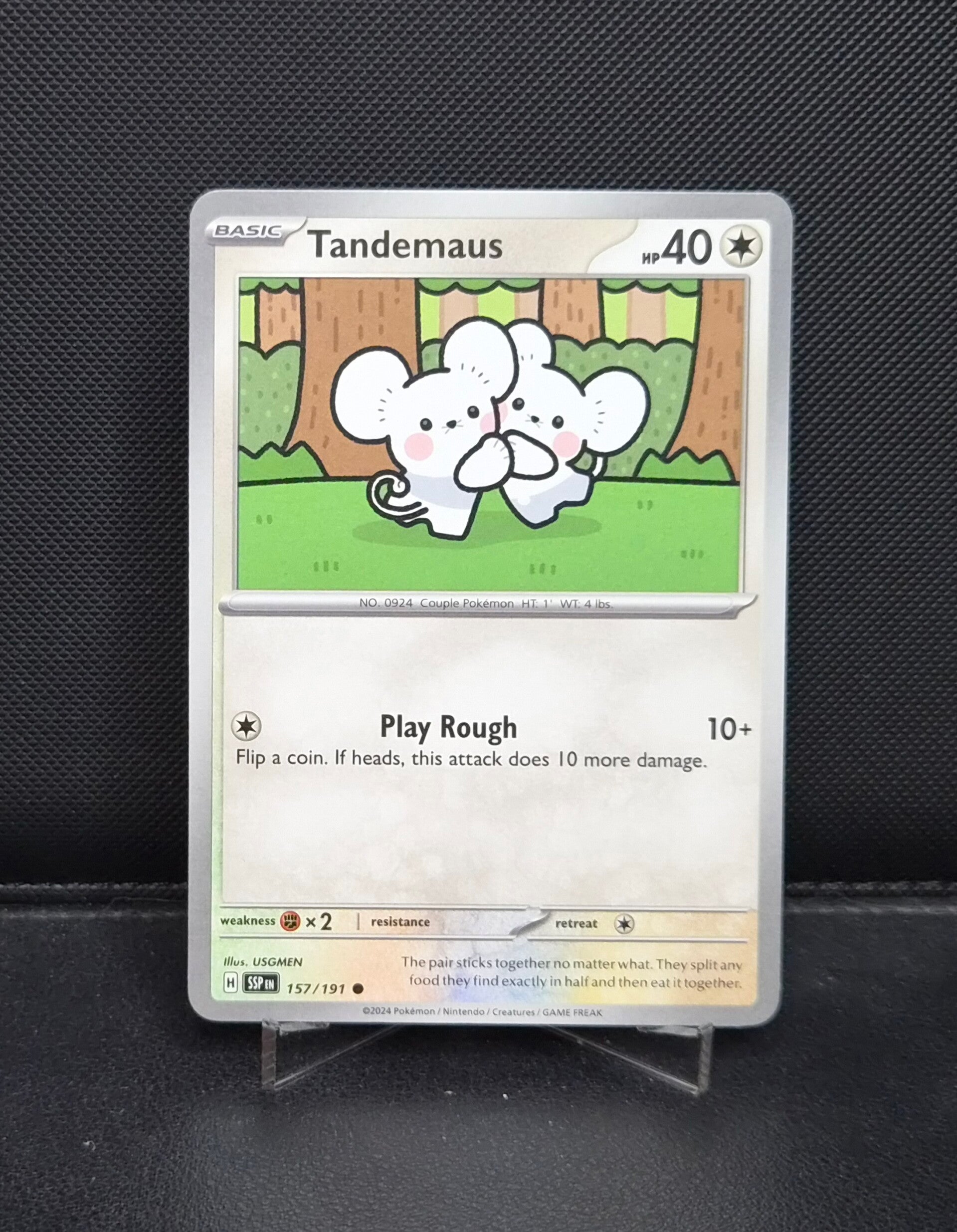 Tandemaus 157/191