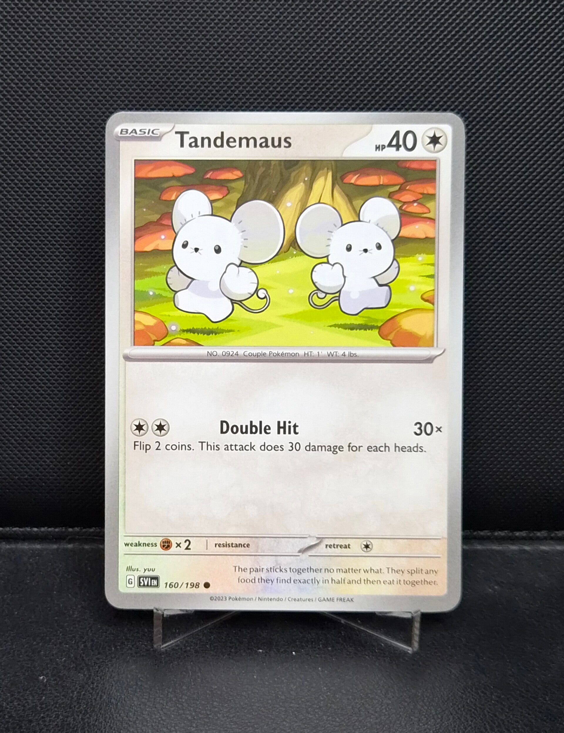 Tandemaus 160/198