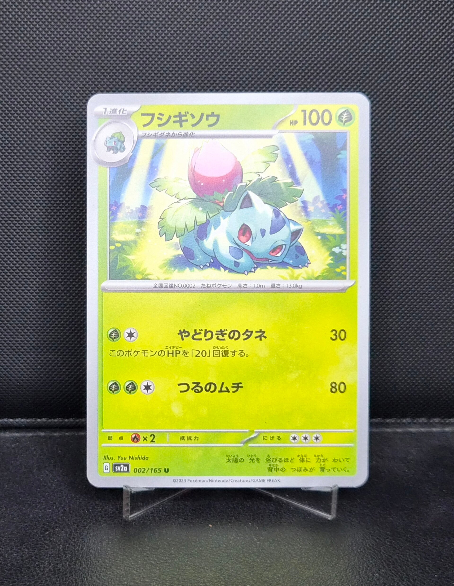 Ivysaur 002/165
