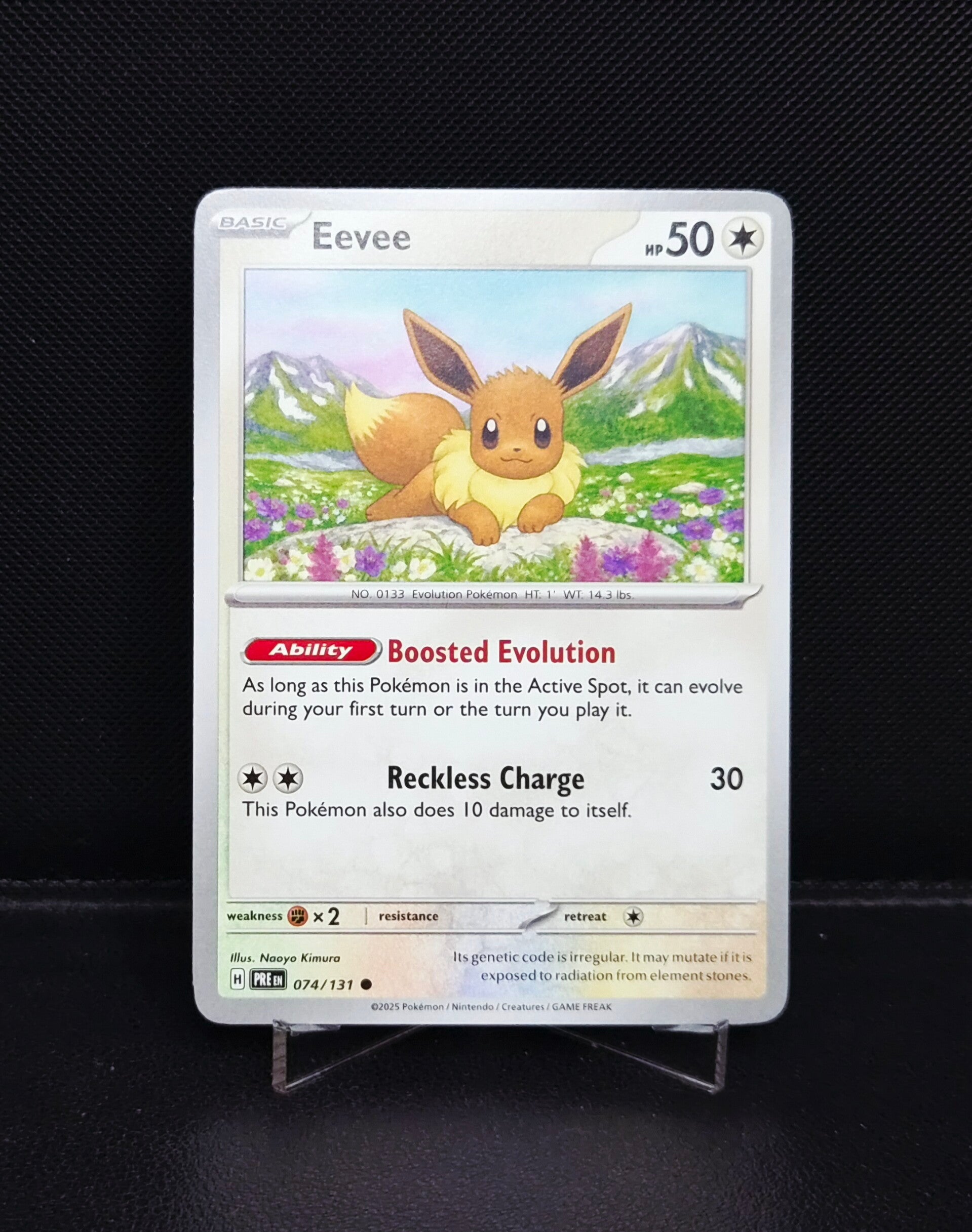 Eevee 074/131