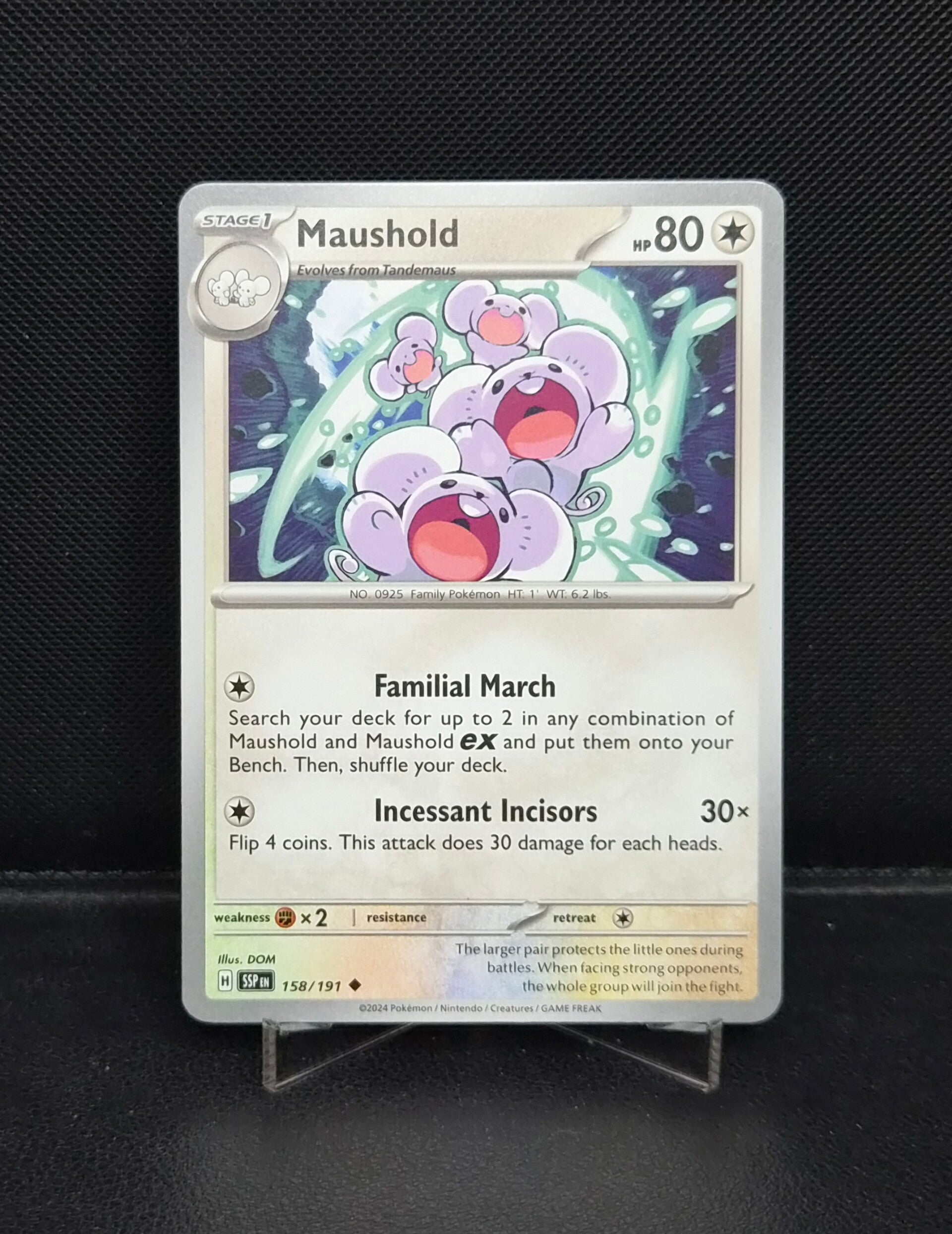 Maushold 158/191