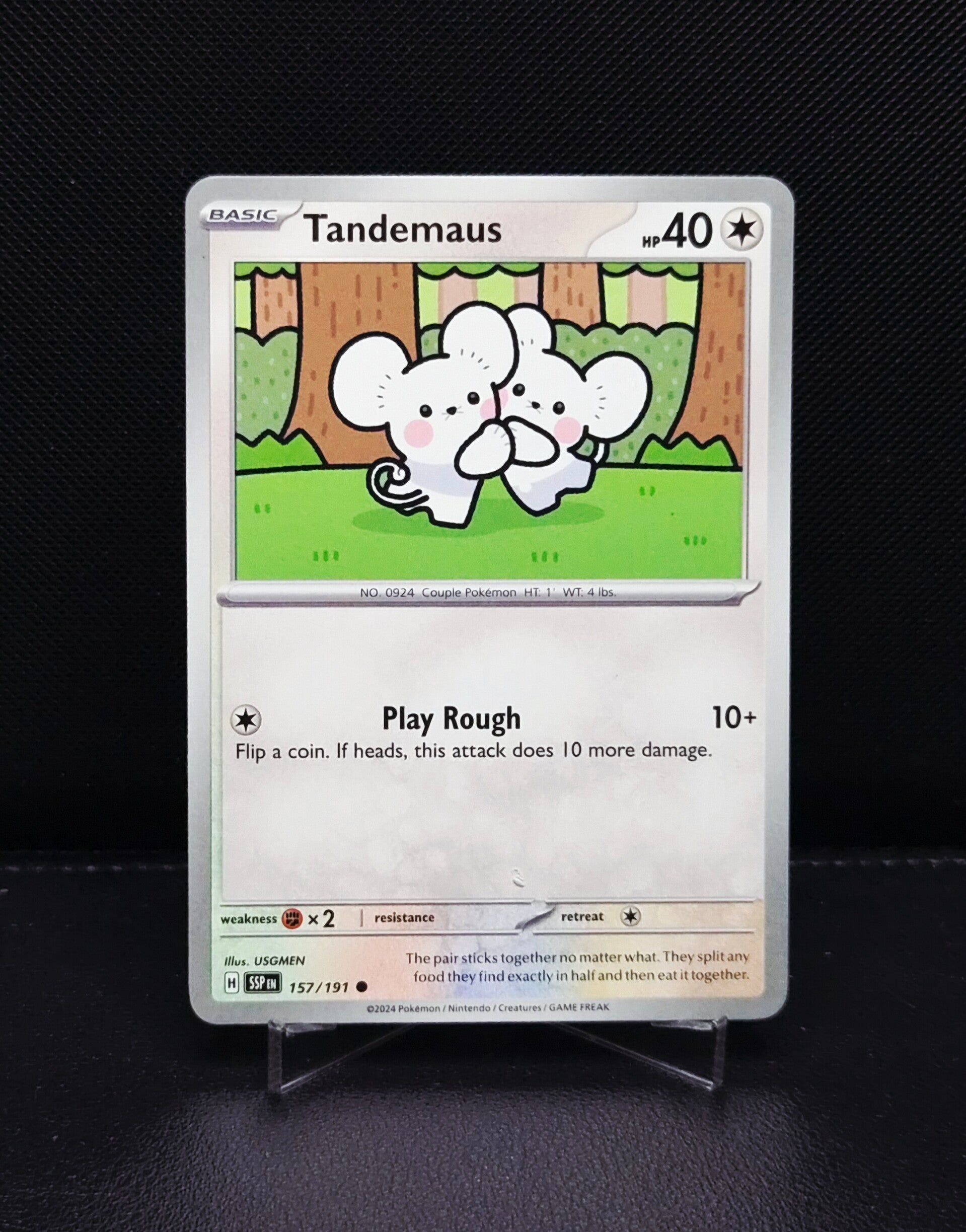 Tandemaus 157/191