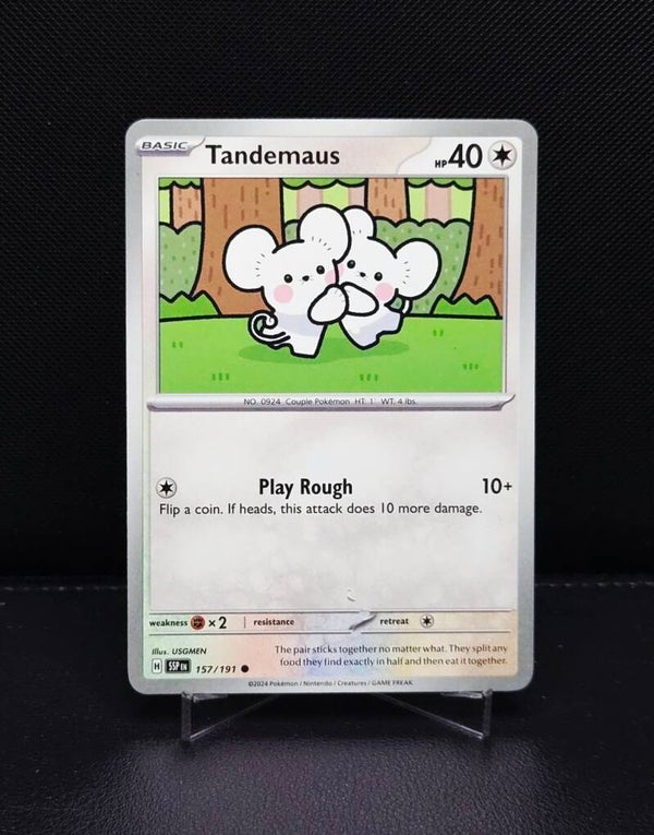 Tandemaus 157/191