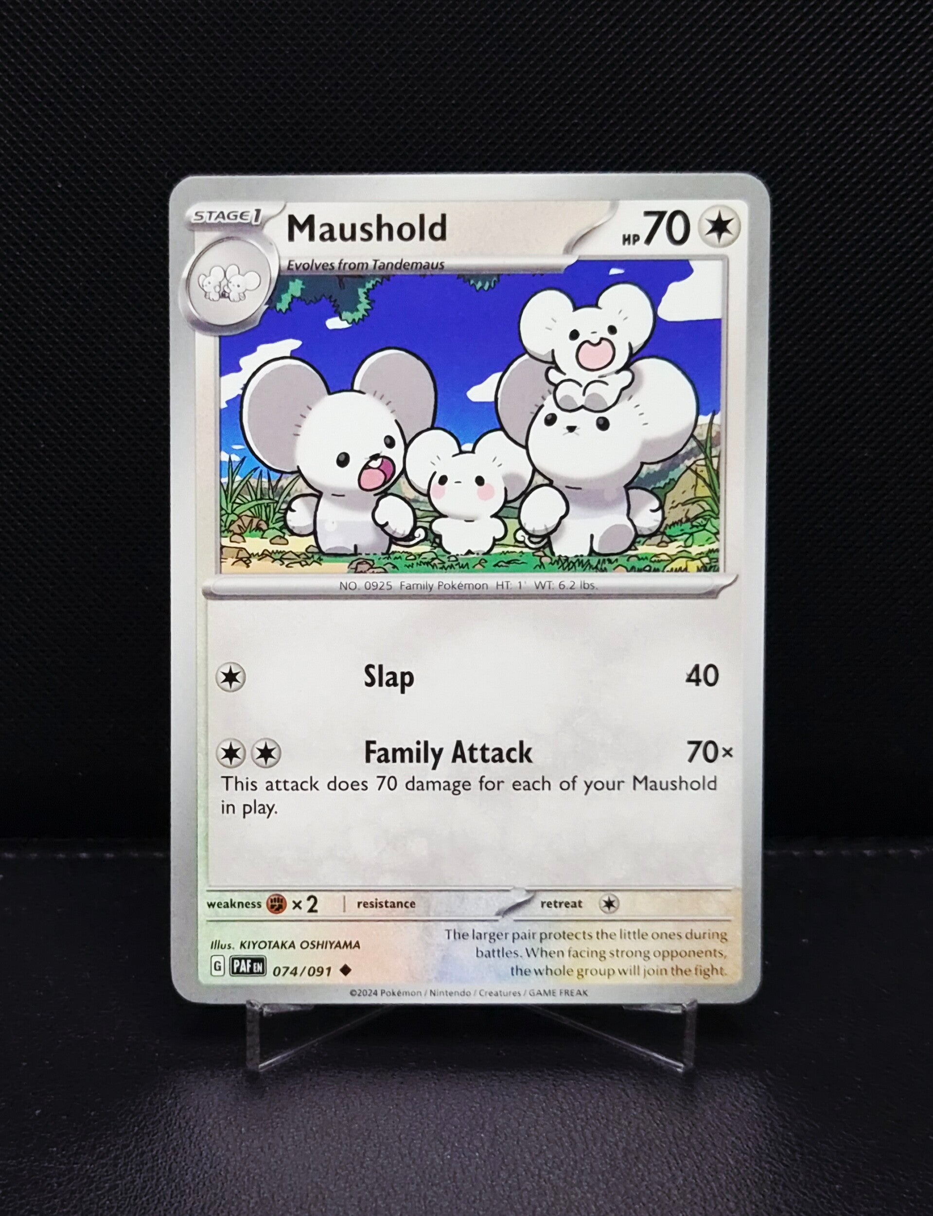 Maushold 074/091