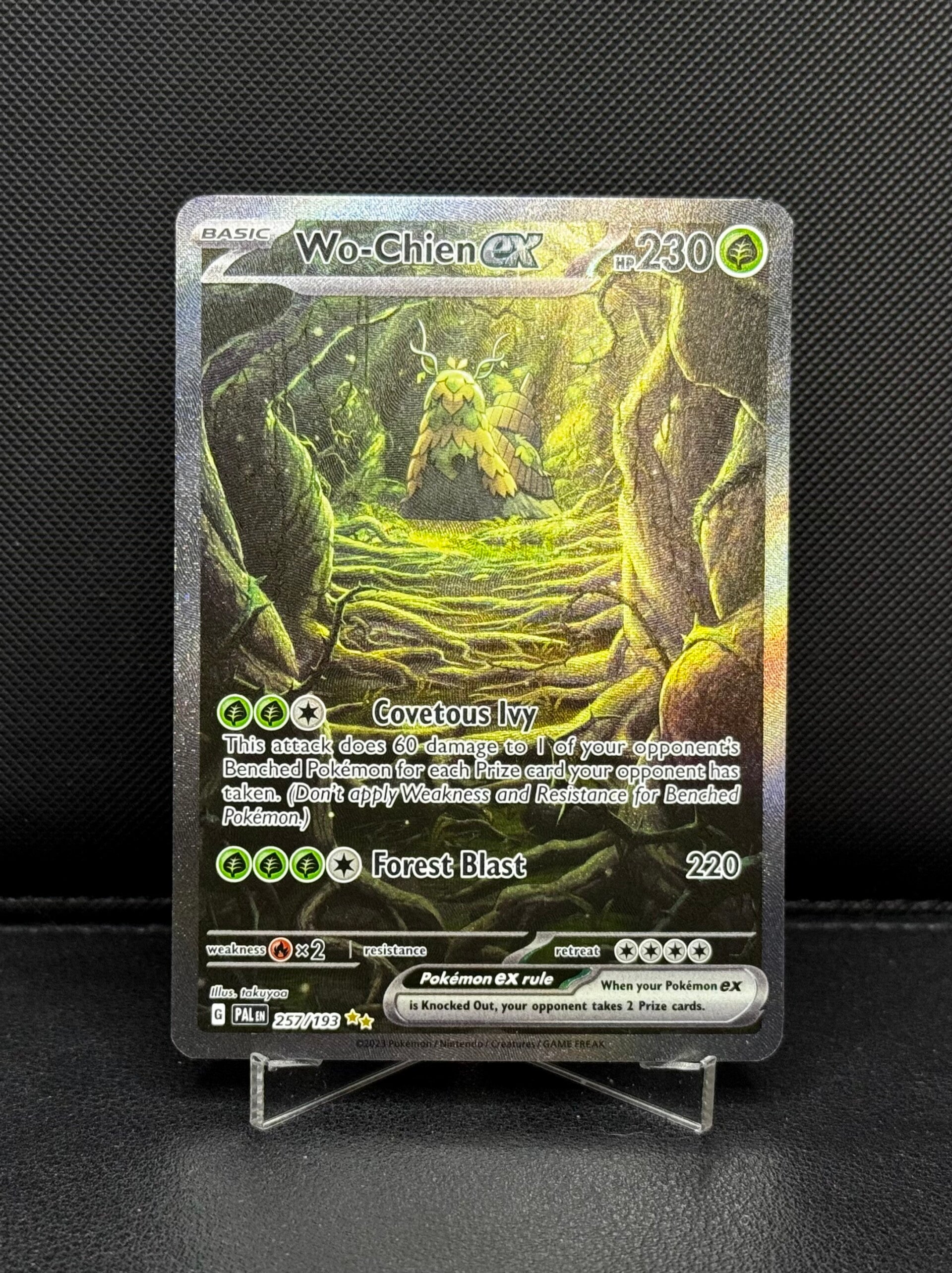 Wo-Chien EX 257/193