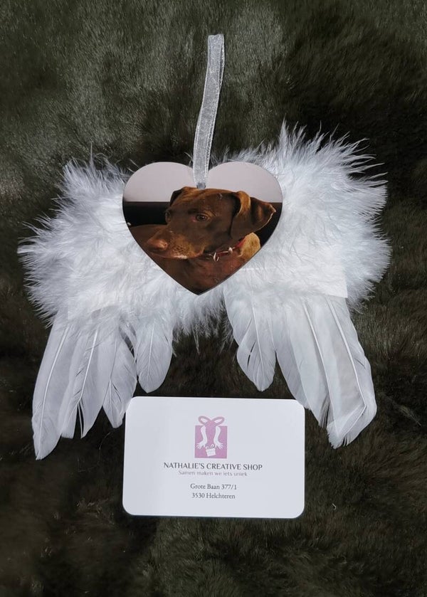 In loving memory