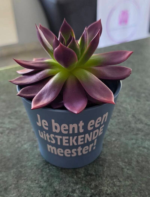 Bloempotje