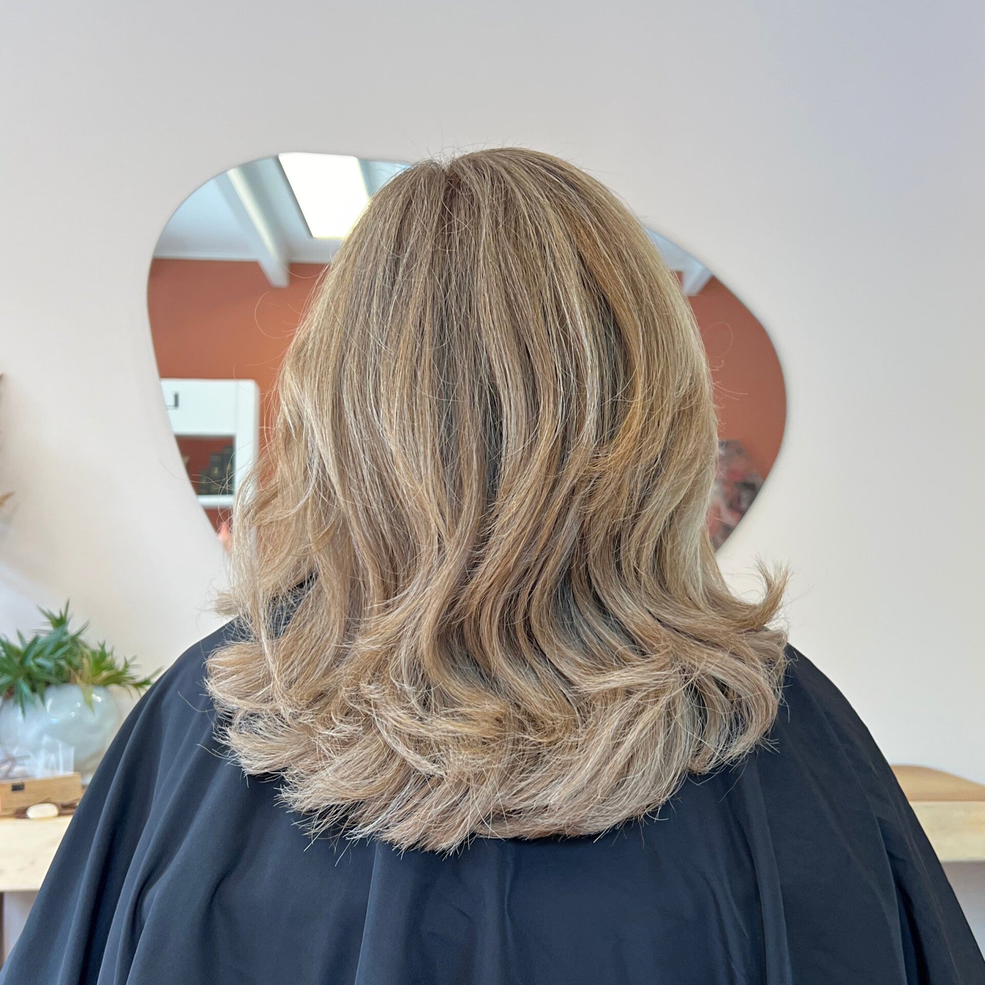 droog haar