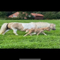 5537fd43-35dc-44f8-9c86-017374d69d10.jpeg