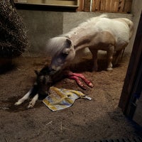 img_1581-standard.jpg