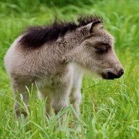 img_5912-standard.jpg