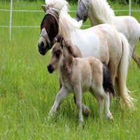 img_5969-standard.jpg
