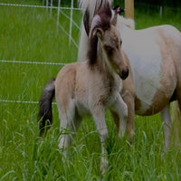 img_6002-standard.jpg