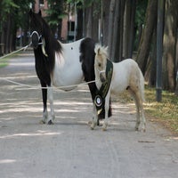 img_6766-standard.jpg